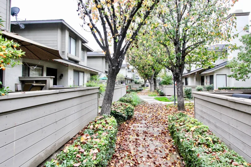 THE HOUSE IN THE LAKEVIEW TOWNHOMES WITH THE PLANTS, DISH ANTENNA, TREES