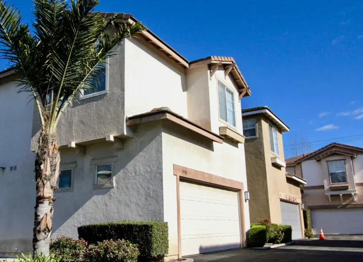 Blue skies and a palm tree beside homes in Peppertree Walk