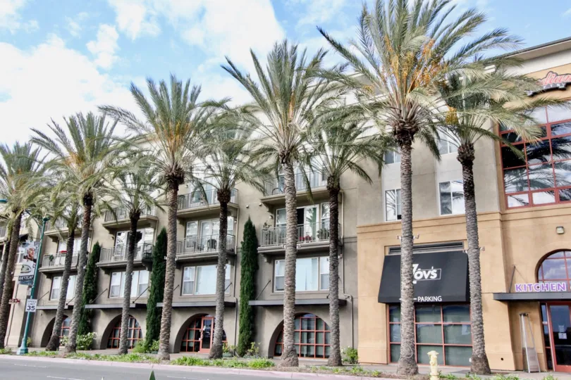 THE HOTEL WHICH IS IN STADIUM LOFTS, THAT HAVE MANY WINDOWS, MANY TREES AND NAME BOARD
