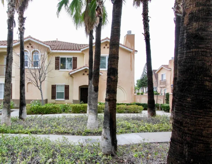 A beautiful villa in villa de euclid with lots of coconut trees and plants