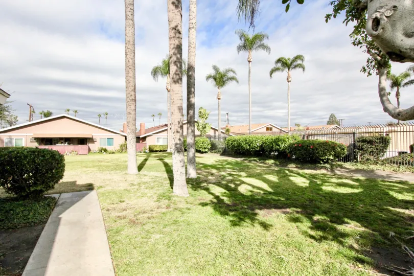 A sunny day in the Wilshire Westmont with lawn and trees.