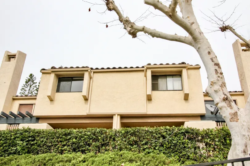 Front to the Villa in Buena Tierra has cutted bushes and dry tree behind the bush