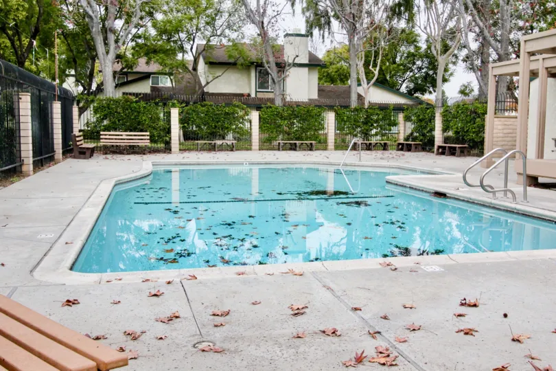 THIS IMAGE SHOWS THE SWIMMING POOL IN CAMERON PARK, WHICH SHOWS LOT OF PLANTS, TREES ARE THERE