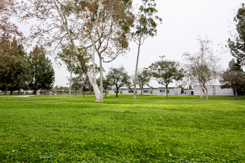 THIS IMAGE SHOWS THE BEAUTIFUL GARDEN IN BUENA PARK, THAT SHOWS GREENY LAWN WITH TREES