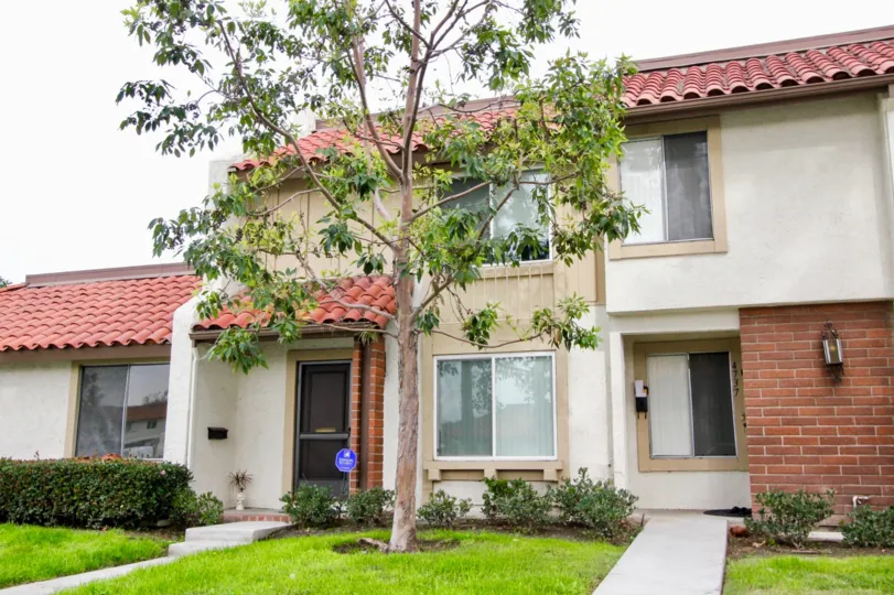 a rainy day in the casitas california with a house that has roofless top and tall tree in front on garden around