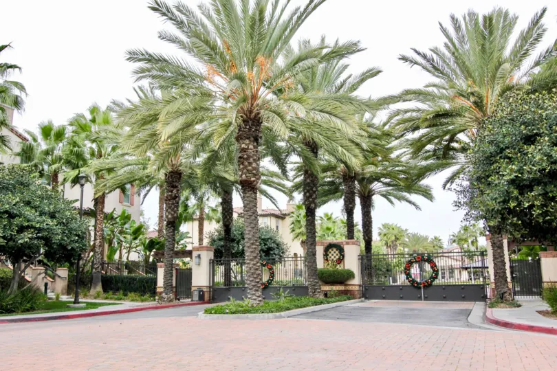 Each gate in Founders Walk has christmas ring with long trees and bushes