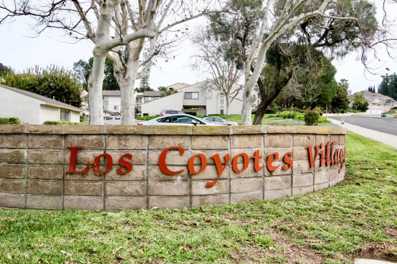In Short wall placed on the meadow indicates Los Coyotes Village with tall trees and cars