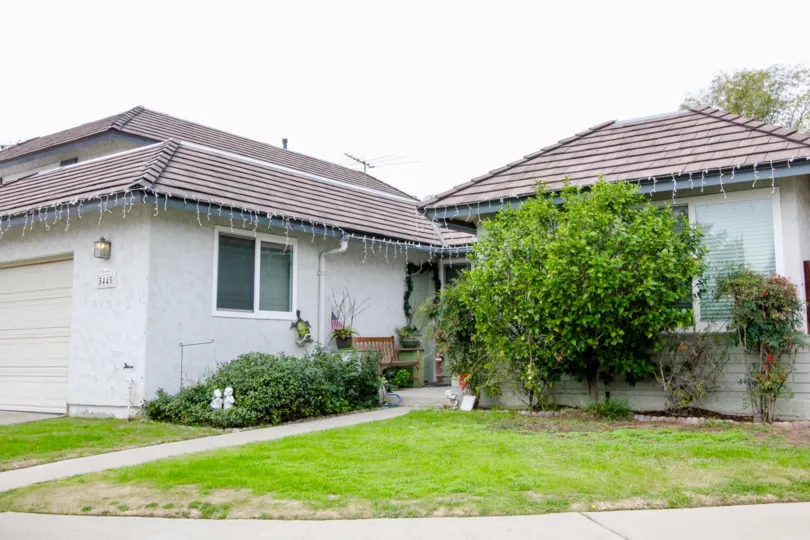THE 5445TH FLAT IN THE MEADOWBROOK WITH THE GRASSLAND, PLANTS, TREES