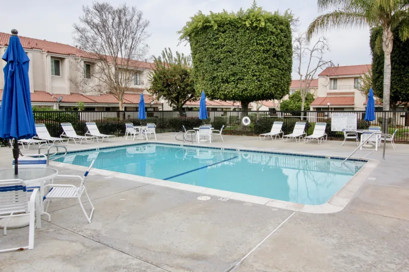 Good looking swimming pool with decorative plants and chairs in Regency East of Buena Park