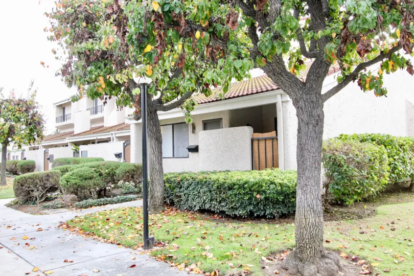 THIS IMAGE SHOWS THE HOUSES WITH PLANTS LIKE CROTONS, TREES, LAMPS LOCATED IN BUENA PARK