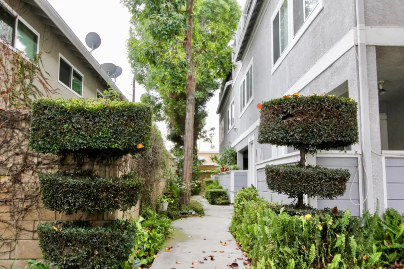 a rainy day in the western bay estates with a building that has 3 dish top and garden in around