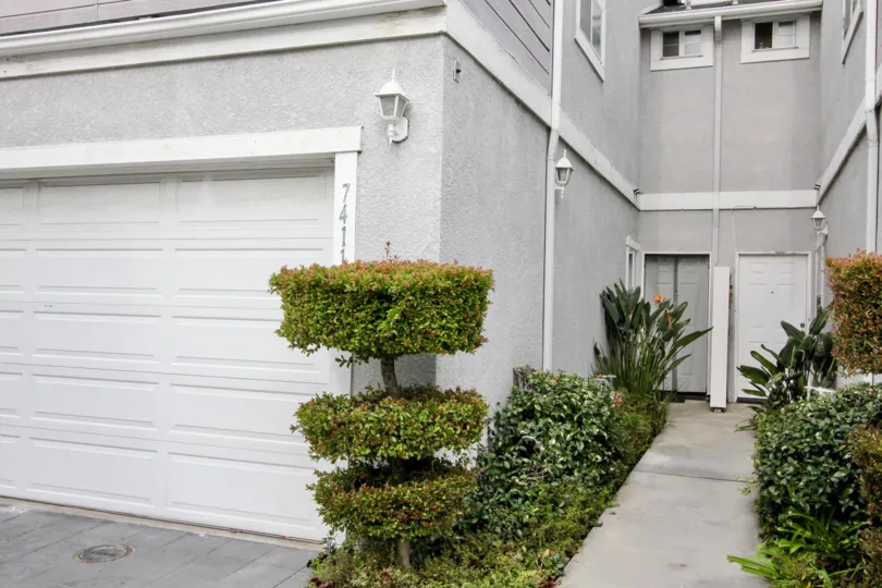 Bushes are decorated by cutting it and placed at the pathway of apartment in Western Bay Estates