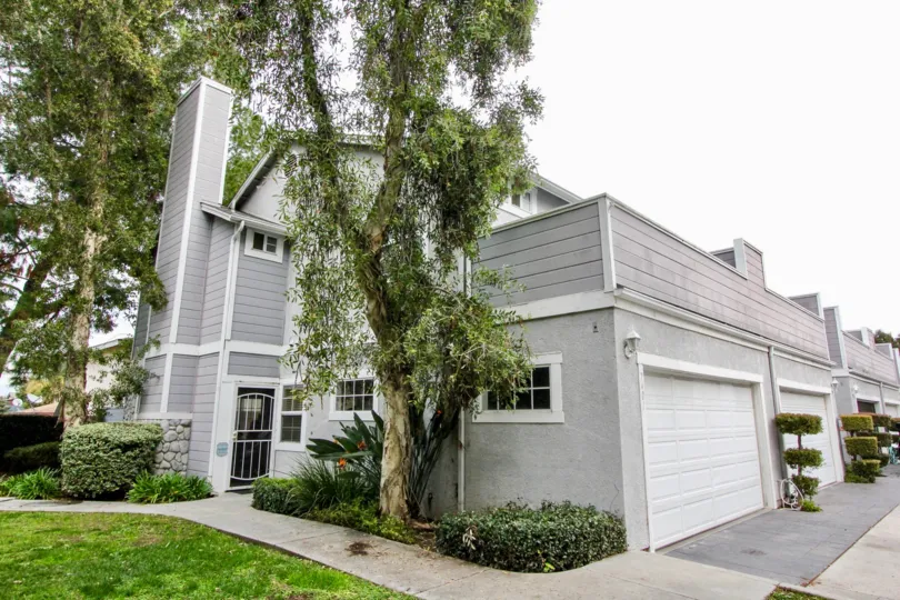 a rainy day in the western bay estates with a building that has 2 parking door closed and tall tree in front