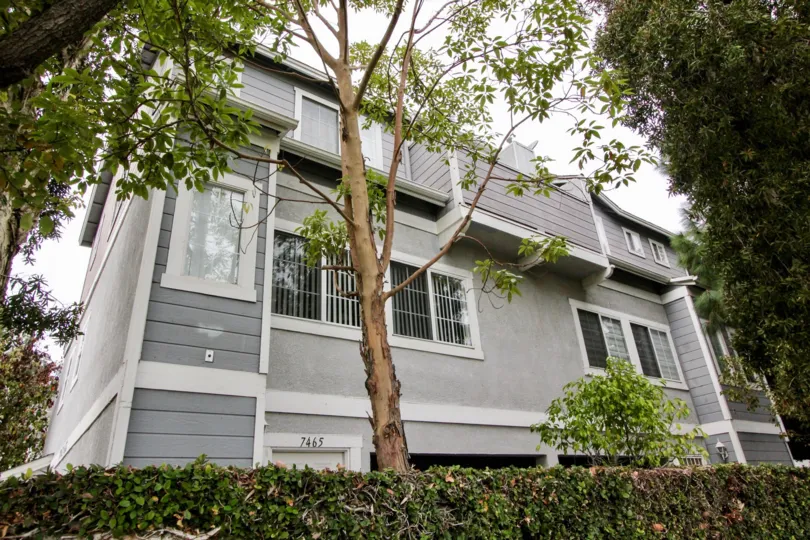 THE 7465 APARTMENT IN THE WESTER BAY ESTATES WITH THE PLANTS, TREES