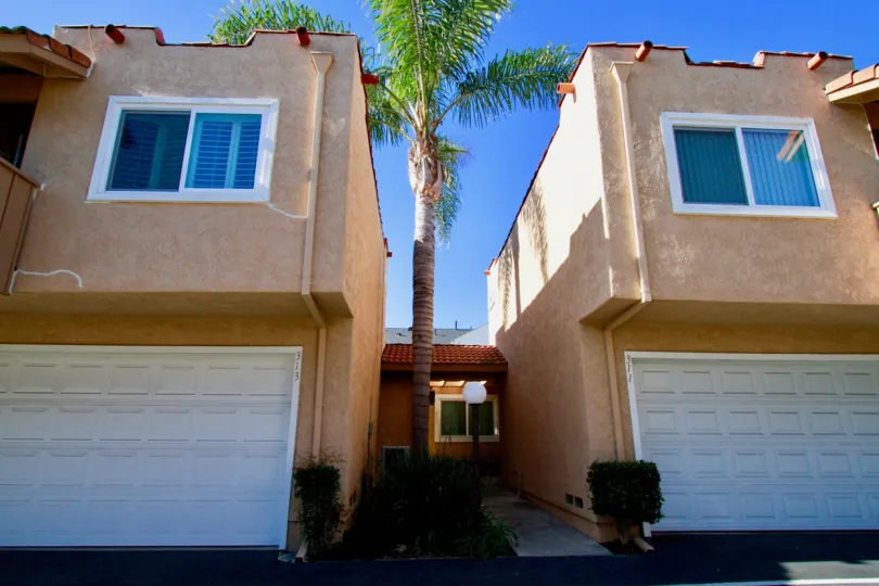 Alta Mesa apartments with a palm tree on a sunny day.