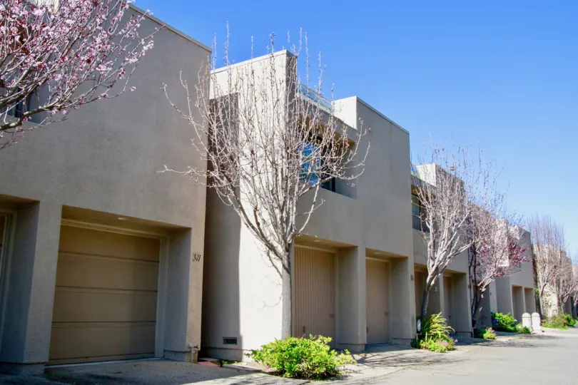 backyard of the line house with the purple flower in bay view terrace of costa mesa, california