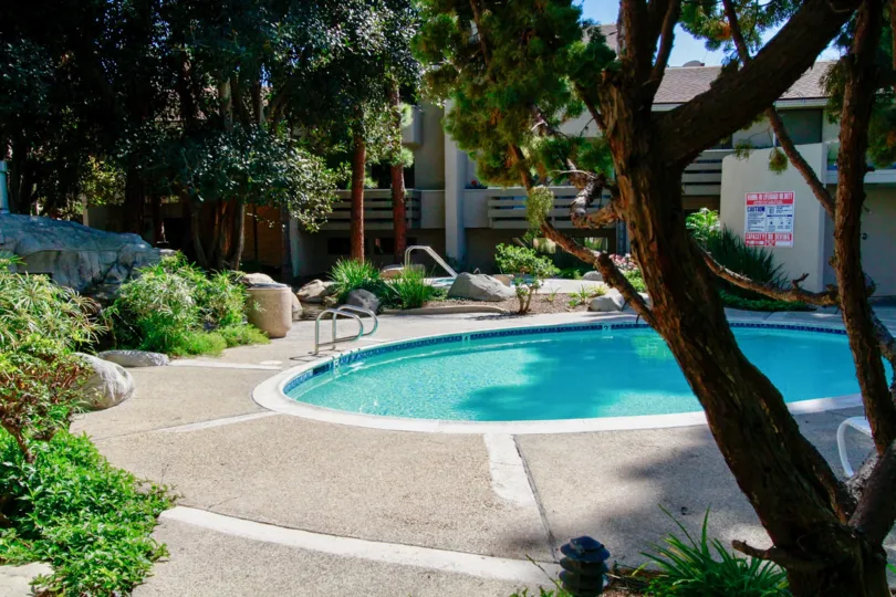 Brighton Springs pool with trees and bushes on a sunny day.
