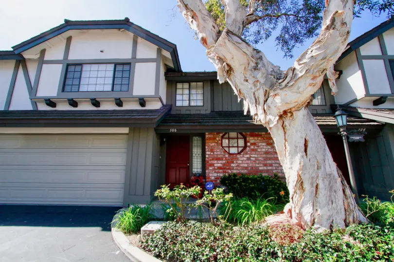 The hoUSE WITH BLUE AND WHITE COLOUR AND A TREE IN FRONT OF THE HOUSE AND SOME PLANTS NEAR TO THE TREES AND A MAROON COLOUR DOOR CLOSED IN THAT HOUSE.