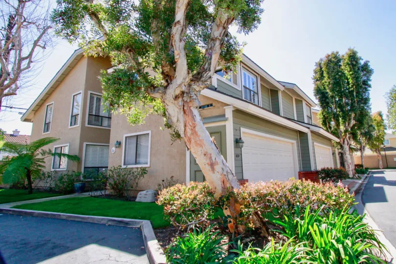 Beatiful trees with plants and road point near villas in Laurel Point of Costa Mesa