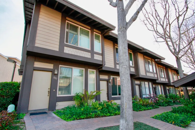 The houses in the Mesa Bluffs is like a row houses with street full of trees and clean roads with beautiful flowers.