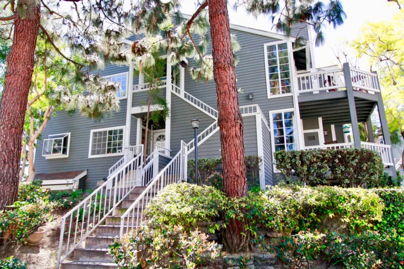 Newport Landing apartments with trees and bushes on a sunny day.