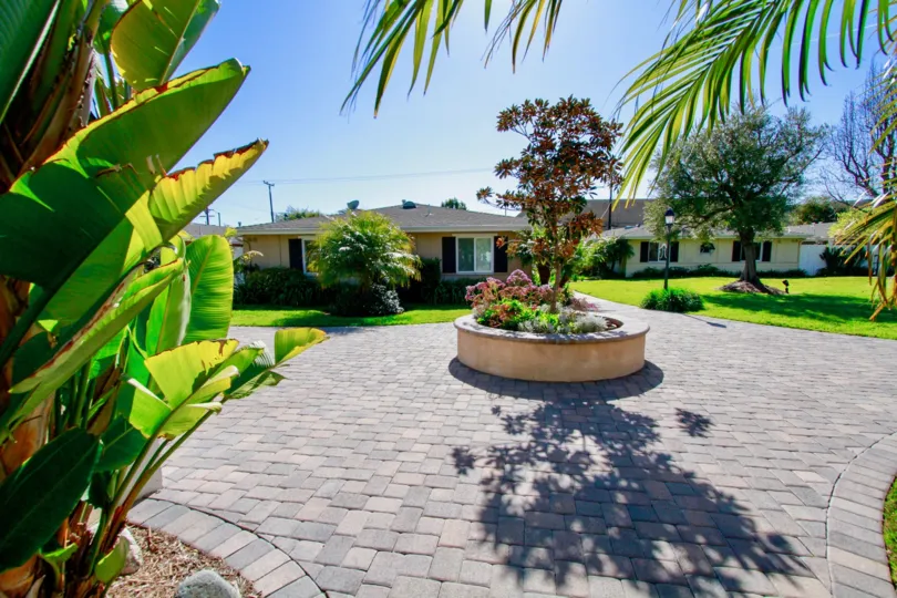 THE BEAUTIFUL FLOWER PLANT LOCATED AT THE CENTRE OF THE PLACE AND A HOUSE BEHIND THE PLANT AND SOME TREES ARE PLACED BOTH LEFT AND RIGHT SIDE OF THE FLOWER PLANT.