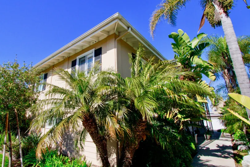 The houses in the Orleans Townhouse is the residential area with nearby houses and also with green trees and plants.