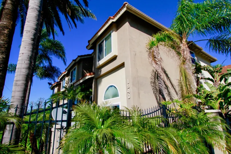 The home in the Palermo Town homes is very huge and beautiful garden with that place with lots of trees and plants. This home is like a guest house.