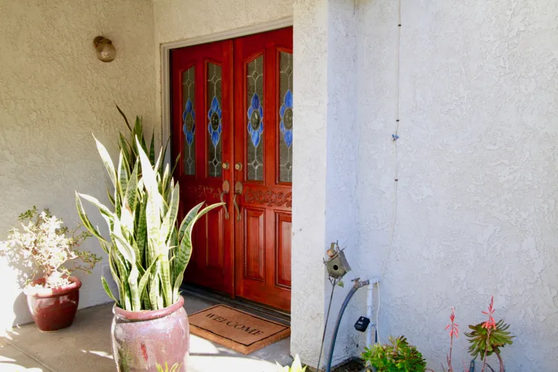 THE DOOR WITH RED COLOUR AND BLUE DESIGN WORK AND IT CLOSED SOME FLOWER WASHES IN FRONT OF THE DOOR AND A MAT ALSO AVAILABLE AT THE FRONT OF THE DOOR.
