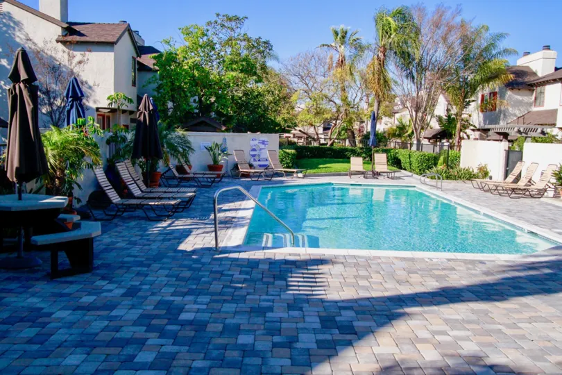 The houses in the San Michel is looking like a resort with beautiful nature look with green plants, trees and swimming pool and also its a fully residential area.