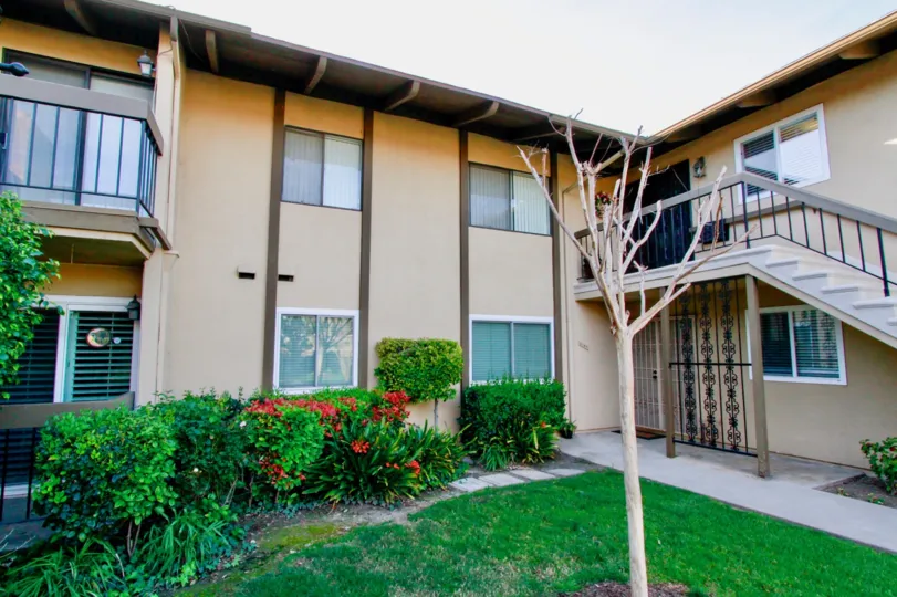 The Woods Costa Mesa California house with steps, shining window and leafless tree