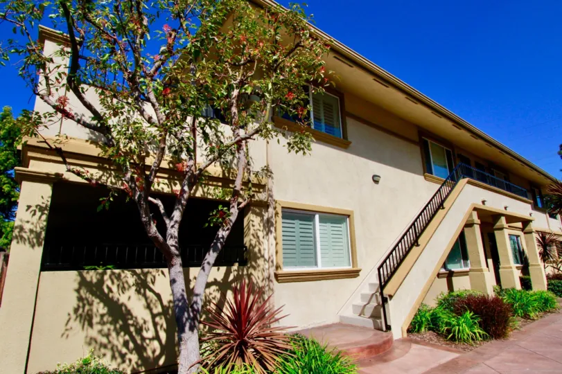 The home in the Vista Spring is very beautiful with trees and plants and also with steps.