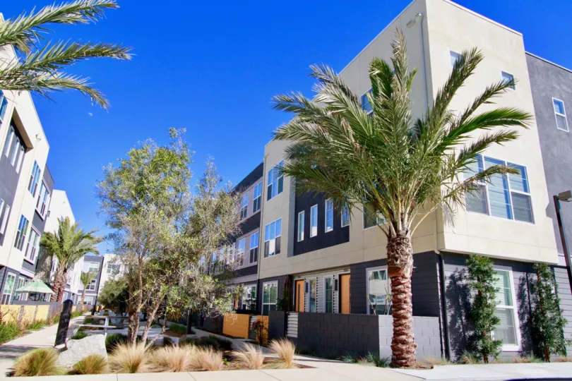THE BUILDING APARTMENTS ARE LOOKING LIKE LIGHT COLOUR AND SOME TREES ARE NEAR TO THE HOUSES AND IT LOOKS LIKE PARALLELAND THE SKY LOOKING SUNSHINE TIME.