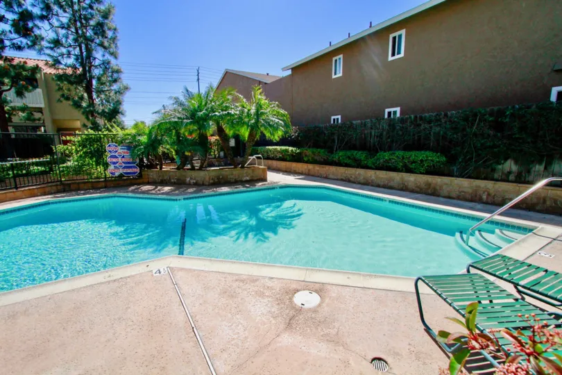 Wilson Park Condos pool with palm trees and deck chairs on a sunny day.
