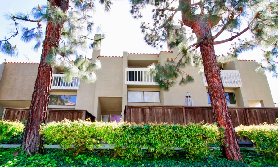 The houses in the Wilson Park Condos is look like a Apartment with wooden fencing and also with lots of trees and plants.