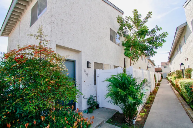 TWO PARALLEL BUILDINGS ARE LOCATED NEAR AND A PATH BETWEEN THEM SOME TREES AND PLANTS ALSO NEAR TO THERE AT THE MORNING TIME