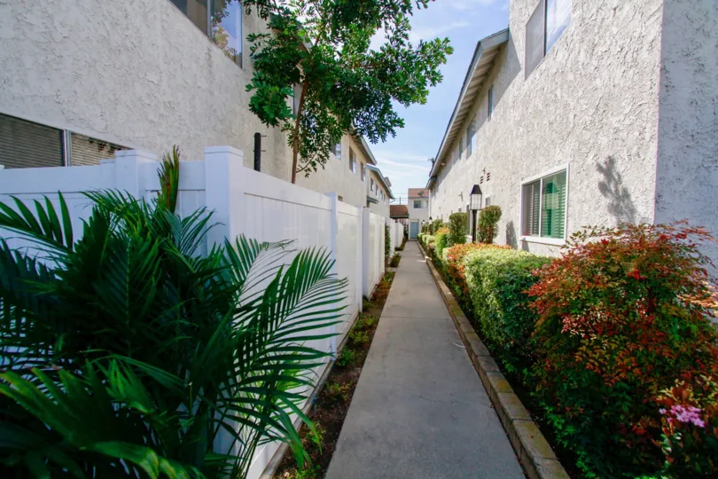 THE WHITE COLOR ENTRANCE AND MORE PLANTS ALSO SURROUNDING THERE AND THE ROOF TOP ALSO AVAILABLE AT THE BUILDING AND THE SKY LOOKS SUNSHINE AT MORNING
