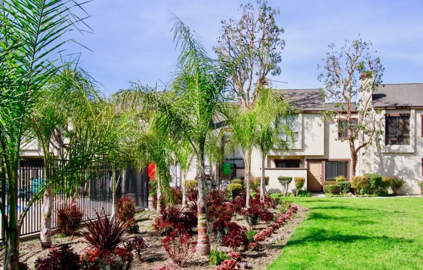 Embassy Park Townhomes Cypress California buildings covered by long trees and plants
