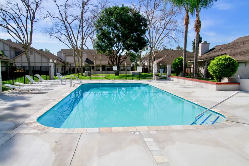 A SWIMMING POOL ALONE AND SURROUNDING WITH MORE HOUSE AND TREES AND PLANTS SOME SITTING CHAIRS ALSO THERE AT THE MORNING TIME