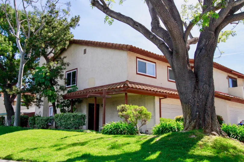 THE SMALL HOUSE LOCATED ALONE SURROUNDING WITH MORE TREES AND PLANTS ALSO GRASS AVAILABLE AT THE MORNING SUNSHINE TIME