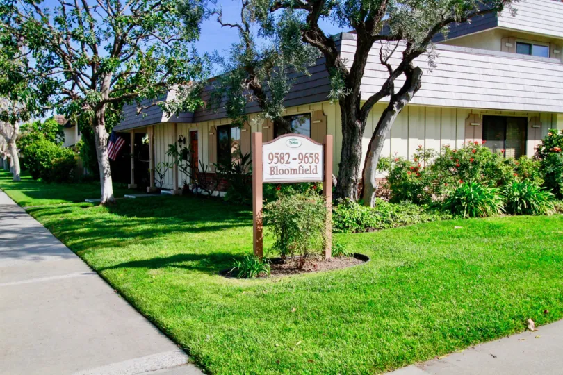 Tanglewood North Cypress California somewhat lonely dark appearance make fear with huge trees