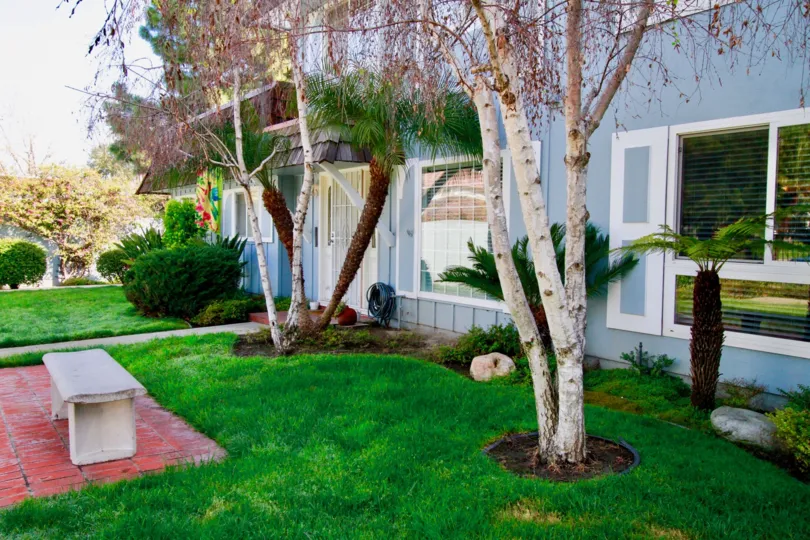 THE HOUSE WITH SKY BLUE COLOR AND THE WINDOWS ALSO AVAILABLE AND A BENCH ALSO LOCATED AT THE OUTSIDE OF THE HOUSE AND MAINTAINED A MINI GARDEN
