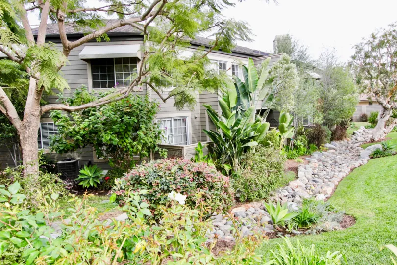THE VILLAS IN THE BLUFFSIDE VILLAS WITH THE BANANA TREES, ROCKS, LAWN, PLANTS