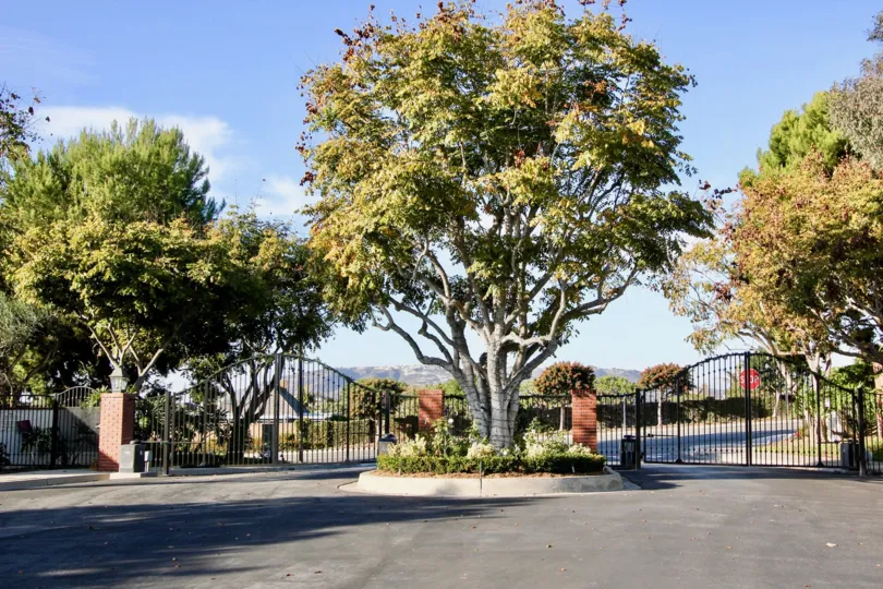 A SUNNY DAY IN THE CAPE COVE WITH THE PLANTS, TREES
