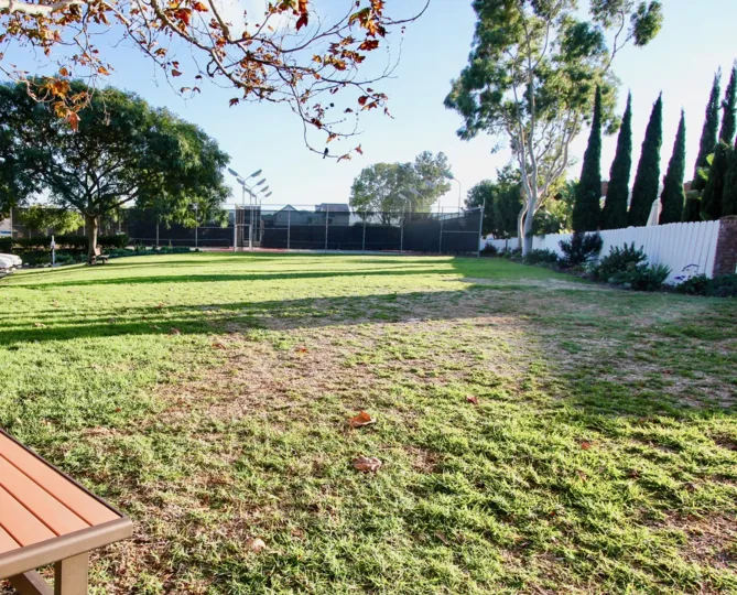 The Place in Dana Light has benches near the Trees with Meadows