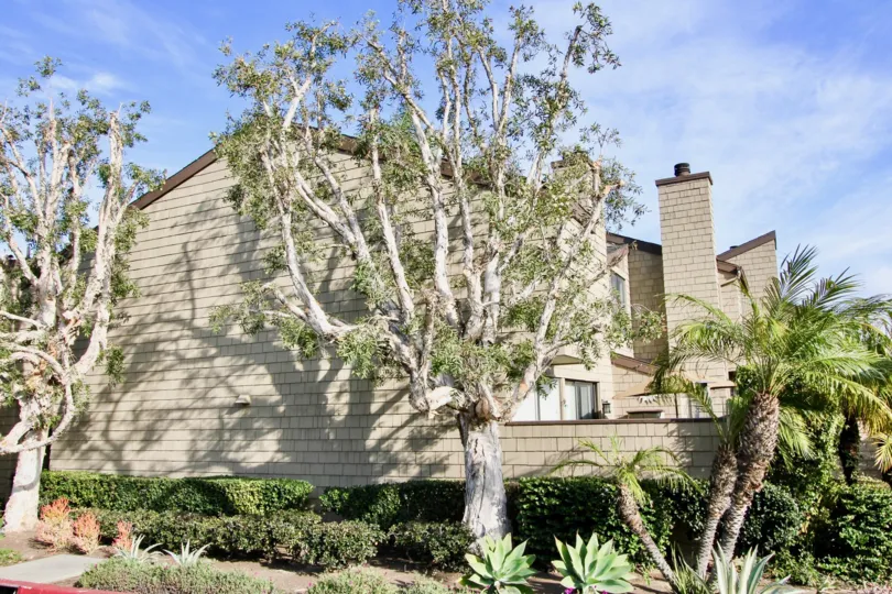 a sunny day in the Dana Terrace with house that has stone walls and garden around