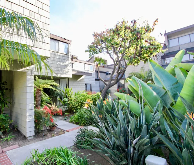 Pathway to House is covered with plants, trees in Dana Terrace