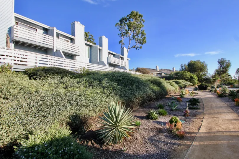 Pathway has bushes and trees on two sides opposite to the Apartment in Dana Vista