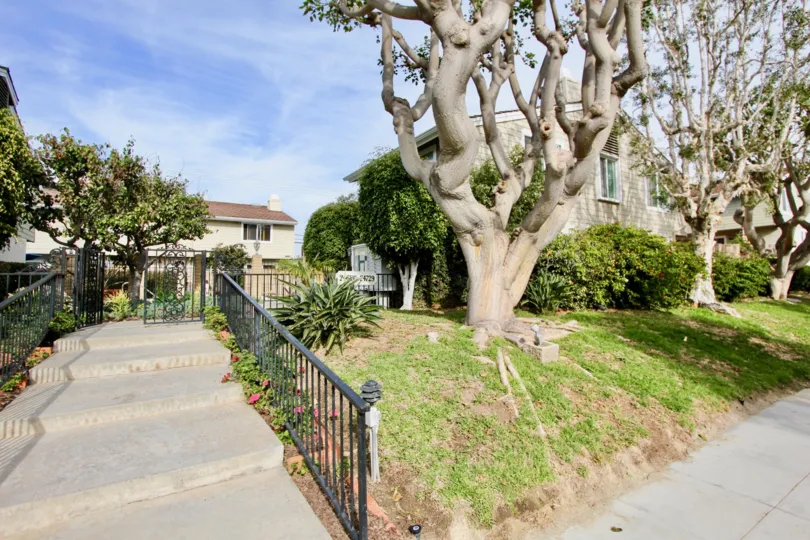 a sunny day in the golden lantern villas with house that has steps on short and tree on left