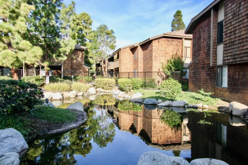 A sunny day in the Harbor Creek with a pond and rocks.